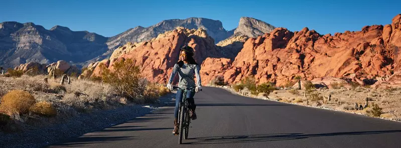 Journée mondiale de la bicylcette